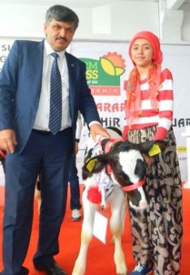 250 Bin Düve Projesi İçin Başvurular 7 Mayıs'a Kadar