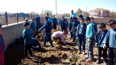 Boğazlıyan'da Öğrenciler Okul Bahçesine Gül Dikti