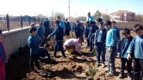 Boğazlıyan'da Öğrenciler Okul Bahçesine Gül Dikti Haberi