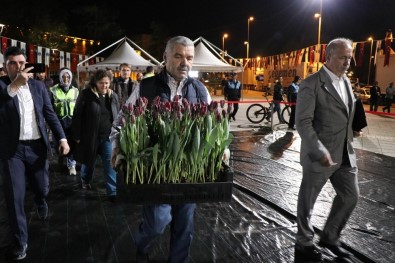 Dünyanın En Büyük Türk Bayrağı Temalı Lale Peyzajı Kayseri'ye Yapılıyor