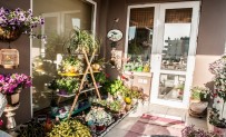 PEYZAJ MIMARLARı ODASı - En Güzel Bahçe Ve Balkon İçin Geri Sayım Başladı