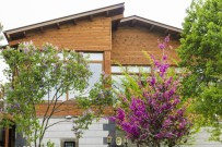 ERGUVAN - Erguvan Tesisleri Büyülüyor