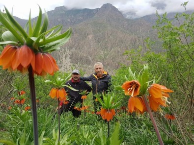 Hakkarili Dağcılar Çiçek Vadisine Ziyaret