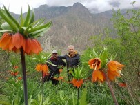 DOĞA FOTOĞRAFÇISI - Hakkarili Dağcılar Çiçek Vadisine Ziyaret