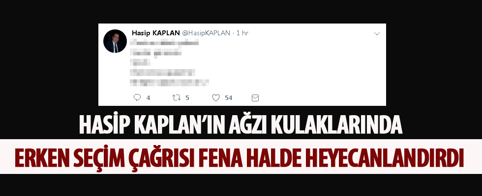 Hasip Kaplan'ın ağzı kulaklarında