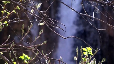 Sırakayalar Şelalesi'nde İlkbahar Güzelliği