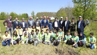 Tekkeköy Yeşille Bütünleşti