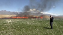 VAN GÖLÜ - Van'da Sazlık Alanda Yangın