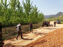 PELITÖZÜ - Vezirhan'da Bahçe Yolları Yenileniyor