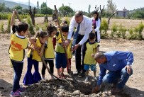 Aliağalı Öğrenciler Uzunhasanlar'da Fidan Dikti