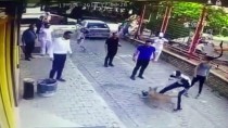 PİTBULL - Aydın'da Pitbullun Kediye Saldırısı Güvenlik Kamerasında