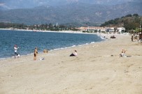 CARETTA CARETTA - Çalış Plajı Traktörle Temizleniyor