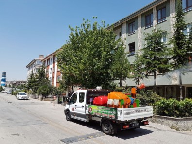 Havaların Isınmasıyla İlaçlama Çalışmaları Başladı