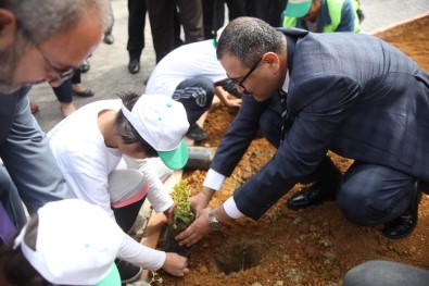 Sevgi Evleri Sakinleri İle Huzurevi Sakinleri Fidan Dikti