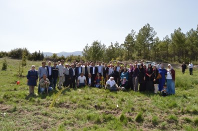 AK Parti'den 15 Temmuz Şehitleri Hatıra Ormanı