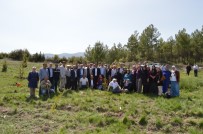 AK Parti'den 15 Temmuz Şehitleri Hatıra Ormanı Haberi