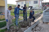 TEMEL YıLMAZ - Arguvan'da Değişim Ve Yenileme Çalışmaları