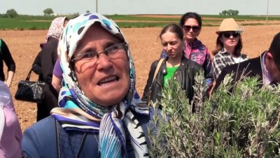 Edirneli Kadınlara 'Mis Kokulu' Gelir Kapısı