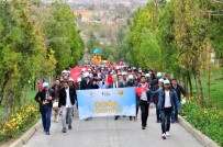 AFRİN - Afrin Şehitleri Anısına Doğa Yürüyüşü Yapıldı