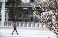 İLAÇ KULLANIMI - Baharın Tadını Çıkarmak İçin Bu Önerileri Dikkate Alın