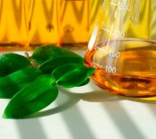 KARBON - Biyodizel Sektörü 2018 İçin Hedef Yükseltti