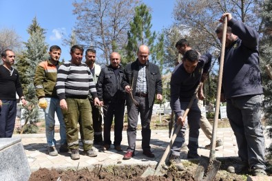 Çorum'da Mezarlıklara 5 Bin Gül Fidanı Dikildi