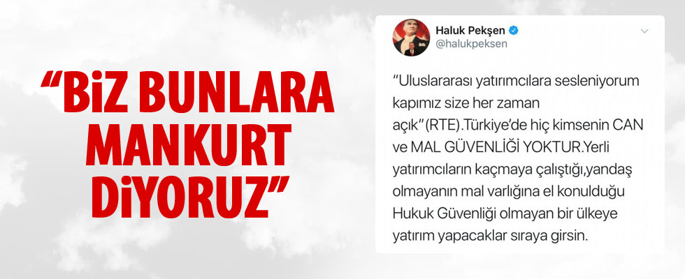 Cumhurbaşkanı Erdoğan, CHP'li Pekşen'e sert çıktı