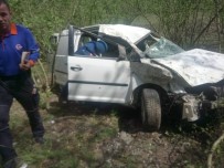 BÜLENT ECEVİT ÜNİVERSİTESİ - Hafif Ticari Kamyonet Uçuruma Yuvarlandı Açıklaması 1 Yaralı