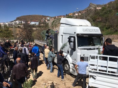 Öğrencilerin Yetiştirdiği Fidanlar Tunceli'de Dağıtıldı