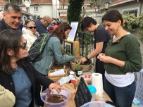 YERYÜZÜ DERNEĞİ - Üsküdar'da Tohum Takas Şenliği Gerçekleşti