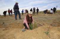 BAYBURT ÜNİVERSİTESİ - Bayburt Üniversitesi'nde Fidanlar Yeşerecek