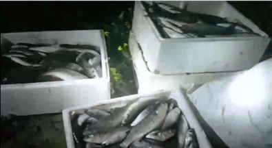 Mersin'de Elektrikle Balık Avlayanlara Suçüstü