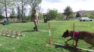 Terörle Mücadelenin Mayın Ve EYP Avcılarına Hassas Eğitim