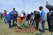 ERGAN DAĞI - Turizm Haftasında Fidan Dikimi Yapıldı