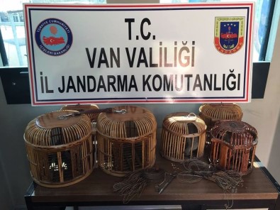 Van'da Kafes Avcılarına Operasyon