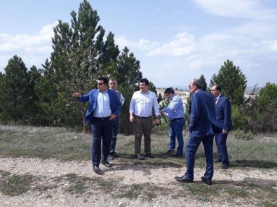 Çavdarhisar'da 'Tabiat Parkı' Çalışmaları