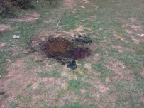 KOCATAŞ MAHALLESİ - Önce Öldürüp Sonra Yakmışlar