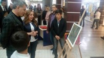 MEHMET ALİ ÖZKAN - Tatvan'da Resim Sergisi Açıldı