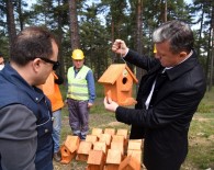 ORMANA - Yuvayı Dişi Kuş Yerine Ormancılar Yapıyor