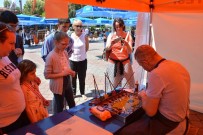 RESİM YARIŞMASI - 2. Geleneksel Dalyan Sanat Festivali