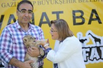 HAYVANAT BAHÇESİ - 23 Nisan'da Hayvanat Bahçesi Ücretsiz