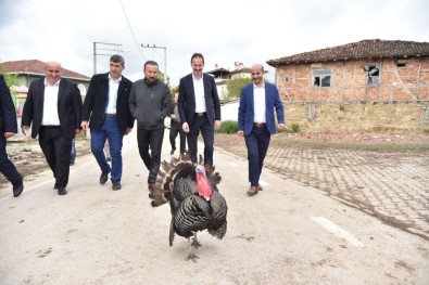 Başkan Doğan Açıklaması '24 Haziran'daki Seçim Dur Demek İçin Atılan Bir Adımdır'