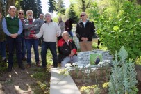Gazeteci Ahmet Kayacık Mezarı Başında Anıldı Haberi