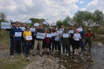 BALIK AĞI - İznik Gölü'nde 'Dünya Balık Göçü Günü' Kutlandı