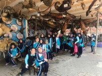 DENİZ CANLILARI - Öğrenciler Çocuk Bayramı'nı Balık Müzesi'nde Kutladı