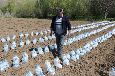 Zirai Dona Karşı 3 Bin Pet Şişeyle Sera Kurdu
