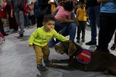 Jandarma Köpeği Vaka, Çocukların İlgi Odağı Oldu