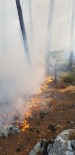 Sütçüler'deki Yangında 3 Hektar Ormanlık Alan Zarar Gördü Haberi