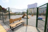 NITELIK - Buca'da Can Dostlarına Yeni Yaşam Alanı