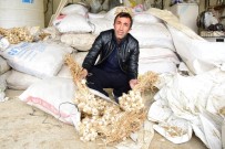 KURU FASULYE - İpekyolu Belediyesinden Çiftçilere Destek